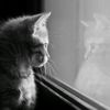 fahmy_kinkyy