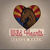 Wild hearts rescue ranch
