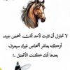 benyamina.younes3