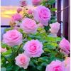 moksudil.hossain