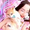 dream4kitty