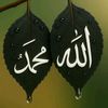 jawad.ul.haq63