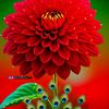 user38195057081700