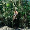 2025jungleboy