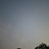 kodokhijau39