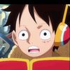 monkey.y.luffy7