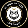 domou_galsen6