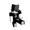 dhocraft8