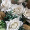 anasa_b