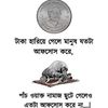 alo.seikh