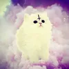 sukiiscutesyy