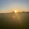 lawn._.mower76