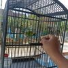 arya.bird