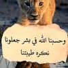 user54929187401488