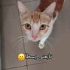 user228020158760