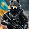 a.s.k2561