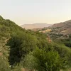 alikhoshnaw50
