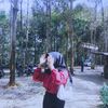 noppp_paaaa