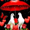 user8797091853372