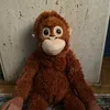 monkey.benjamin