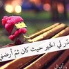 user86167431878191