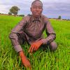 .suleiman.653099