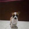 user6182926848712