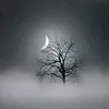 736unknow