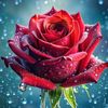 dania.romero.garc