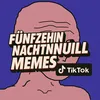 FünfzehnachtnullMemes?