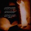 user1420861381554