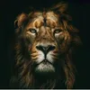 ahmedleon38