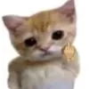urbbwlllbvrn