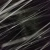 _ruslan_2304807