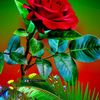 kemila.seid84