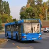 lacitransport