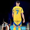 levraifanderonaldo