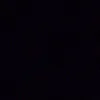 carlos_feij0