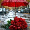 user4149362720961