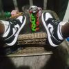 timothylavancewilliams49