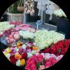 aaqq3388gmail.com3