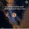 habibamohamed0473