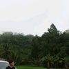 maria_vinz41