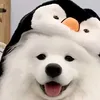 zaixaunhatvn