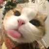 anaksoftspoken32