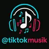 tiktokmusik173