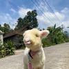 Baba_Farm2