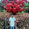 mdalimunhossen73