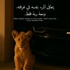 user9660935167777