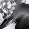 gio_8kj